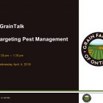 #graintalk targeting pest management