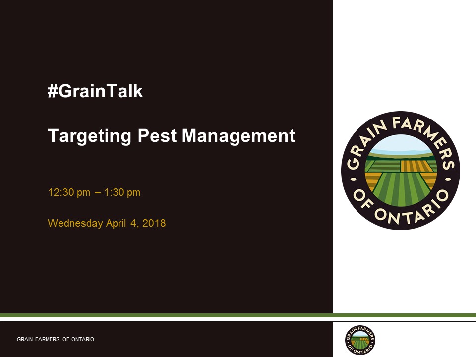 #graintalk targeting pest management