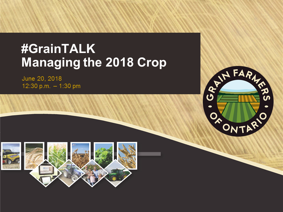 GrainTALK Webinar: Managing the 2018 Crop - Grain Farmers of Ontario