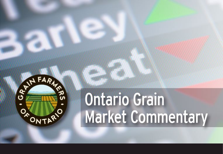 Ontario Grain Market Commentary