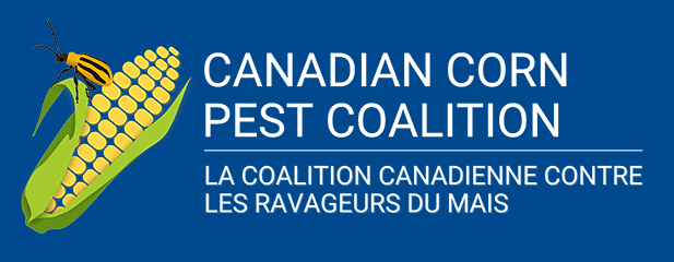 Canadian Corn Pest Coalition