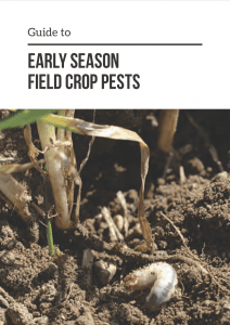 Guide to Early Season Crop Pests