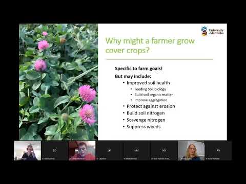 Ontario Cover Crop Feedback Report