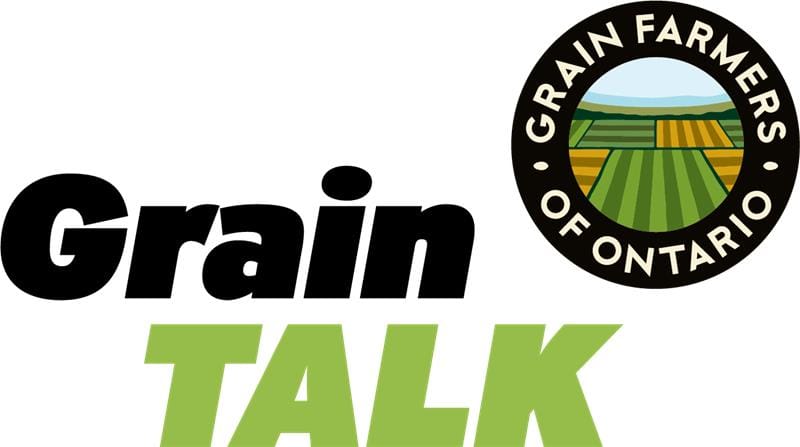 GrainTALK