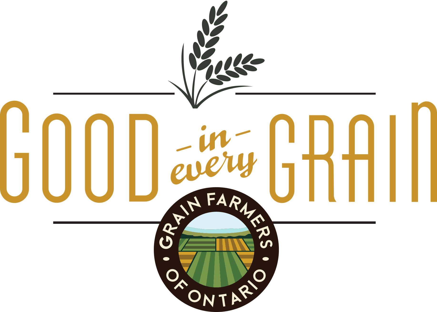Good in Every Grain