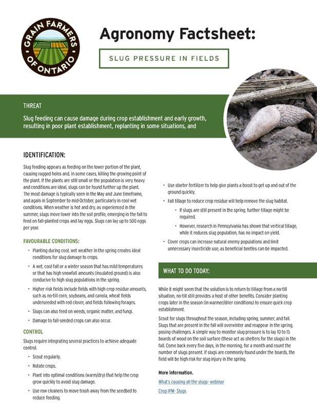 Slug pressure in fields